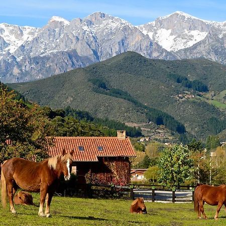 Hotel-Posada La Casa De Фрама Экстерьер фото