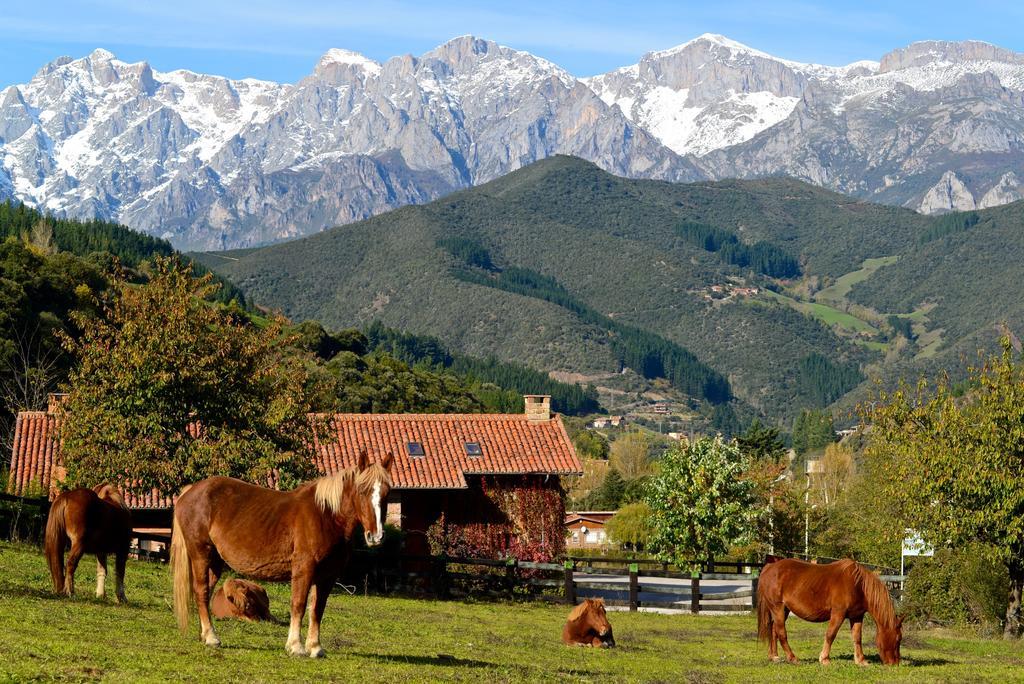 Hotel-Posada La Casa De Фрама Экстерьер фото